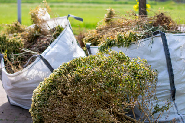 Best Garage Cleanout  in Oak Brook, IL